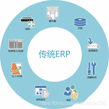 ERP系統與軟件開發及運行平臺服務 企業發展的關鍵支柱